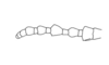Aptoceras brachypterus Descamps, 1976: Fig. 30. female antenna. (Otu).