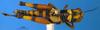 CollectionObject 1505380; baf8d91f-1fe7-4e41-8778-f60797d47bfd: male, dorsal view (syntype). (CollectionObject).;CollectionObject 1567410; 3a5898b1-1097-4fb0-960c-a755cc59e36e: female, dorsal view (syntype). (CollectionObject).