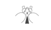 Roppacris griseipes Amédégnato & Descamps, 1979: Fig. 87. male, vertex of fastigium, dorsal view. (Otu).
