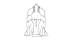 Tristira magellanica (Bruner, 1900): Fig. 17. male head and pronotum, dorsal view. (Otu).