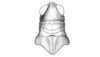Dichroplus robustulus (Stål, 1878): Fig. 6. female, head and pronotum, dorsal view. (Otu).