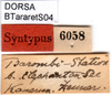 CollectionObject 1501750; cfc210c6-97c9-46b2-8f87-8ed8c0408f1a: labels (syntype). (CollectionObject).