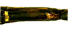 CollectionObject 1567607; c186bc43-a406-4dd2-bd95-e7cf8fc38a5b: copyright Brussels. female, ventral view showing praeopercular organ (paratype). (CollectionObject).;CollectionObject 1567608; 9f20d4e0-ad33-40ba-bea8-18b1a1f859c3: copyright Brussels. female, ventral view showing praeopercular organ (paratype). (CollectionObject).