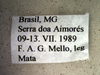 CollectionObject 1580525; 4cdac0d0-89de-4eb4-a381-b7cab5f99cb7: label (paratype). (CollectionObject).
