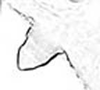 Hind wing. on Aphis (Bursaphis) oenotherae Oestlund, 1887 alate viviparous female: Seventh marginal tubercle of A. oenotherae. (Observation).