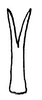 Aedeagus, dorsal view: Ventral process of aedeagus, dorsal view. (Observation).