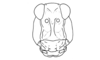 Tetrixocephalus willemsei Gurney & Liebermann, 1963: Fig. 30. male, head, frontal view. (Otu).