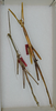 CollectionObject 1557024; 807ad312-522c-41ae-a2e9-14bcc76c50a7: copyright ANSP. male and female Bostra jugalis (syntypes). (CollectionObject).;CollectionObject 1557025; 9744693e-f103-4e3f-a20e-3ee15e4bff06: copyright ANSP. male and female of synonym Bostra jugalis (holotype and paratype). (CollectionObject).