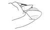 Miacris rubriventris Descamps, 1981: Fig. 65. male abdomen tip. (Otu).