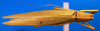 CollectionObject 1500386; 9d106984-e7f0-473a-b468-73108d4cac88, DORSA BTrhaacuHTF: female, dorsal view (holotype). (CollectionObject).
