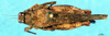 CollectionObject 1537620; 4f18bf68-3f81-4b87-aaaa-e0f789169992: female, dorsal view (syntype). (CollectionObject).