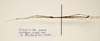 CollectionObject 1595880; a859b8d9-03bc-4d48-bff7-2e3d1da185ba: copyright UKM Bangi. male, lateral view (paratype). (CollectionObject).