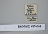 CollectionObject 1573064; c965d678-8f5d-4da2-995c-35ede658bcac: Copyright NHM, London. Female: data labels, non-type. (CollectionObject).