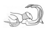 Hysterotettix nigricoxa Descamps, 1979: Fig. 144. end of phallic complex, lateral view. (Otu).