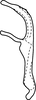 Aedeagus, lateral view on Amblysellus raygozai Pinedo-Escatel, Becerra-Chiron, Torres-Moreno & Pérez-Valencia, 2020: aedeagus and connective. (Observation).
