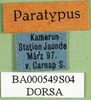 CollectionObject 1502804; 31527615-a1a5-47e4-839c-9108fa93fd99: labels (syntype of Serpusia deminuta). (CollectionObject).