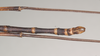 CollectionObject 1558588; b20d032c-9c70-4c15-96d5-4319c2aa3647: copyright Natural History Museum, London. male: end of abdomen, dorsal view (holotype). (CollectionObject).