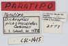 CollectionObject 1513875; MLP3511/1, d5a190de-5f28-4ad9-a940-db0fba361abd: labels (paratype). (CollectionObject).