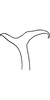 Stylus on Anufrievia expansa Cao & Zhang, 2018: Stylus (paratype). (Observation).