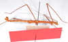 CollectionObject 1560181; 8e24f521-1d13-482a-beaf-004d9a01b2e0: copyright ZMB, Berlin. male, ventral view (holotype). (CollectionObject).