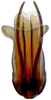 Aedeagus, ventral view: Drabescus zhangi, aedeagus, caudally (MNHN). (Observation).