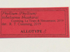 CollectionObject 1586492; a11ce751-1a35-4166-8f71-8d0370152ba4: copyright IMQC. male, data labels (paratype). (CollectionObject).;CollectionObject 1586493; 98faf60d-f949-44d6-9e44-92137cf217cb: copyright IMQC. male, data labels (paratype). (CollectionObject).;CollectionObject 1586494; 1f5c5ba6-04ff-465b-82b6-02495b8db84f: copyright IMQC. male, data labels (paratype). (CollectionObject).
