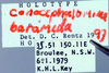 CollectionObject 1504241; a49d3223-9e2a-41b1-88c6-1603cc30e275: labels (holotype). (CollectionObject).