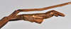 CollectionObject 1558569; 53e1fdbb-9161-455d-bcb1-b772a9e51aaa: copyright NTUC. male: end of abdomen, lateral view (syntype). (CollectionObject).;CollectionObject 1558570; bfcc2c1d-711c-4901-beb1-4a62427f0abc: copyright NTUC. male: end of abdomen, lateral view (syntype). (CollectionObject).