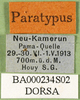 CollectionObject 1502500; 5ee6d0cf-e02d-4cfb-b66a-210422822ec2: labels (paratype of Catantops pamae). (CollectionObject).