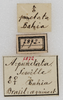 CollectionObject 1532828; NMW 7872, a111c179-d220-4e4e-b2a7-978fbe0208da: labels. (CollectionObject).