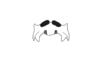 Eumastusia koebelei koebelei (Rehn, 1909): Fig. 6D. epiphallus, dorso-anterior view. (Otu).