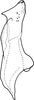 Stylus: !! display not done !! on Isaca bipars Walker, 1857: Stylus, ventral view. (Observation).