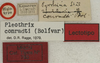 CollectionObject 1535185; e8d3de72-a987-420e-8690-ee91377fda50: labels (lectotype). (CollectionObject).
