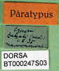CollectionObject 1576346; c210ed75-65bb-4811-8563-b67e08fd1a94: labels. (CollectionObject).