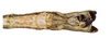 CollectionObject 1597526; 97a4e706-f278-43b8-8393-bbef818ca3df, QIMR T250927: copyright QM. male: end of abdomen, ventral view (holotype). (CollectionObject).