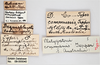 CollectionObject 1863286; ac314fae-736f-4a89-88db-a7cbd1bb38d0: (CollectionObject).