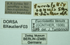 CollectionObject 1585329; fea60686-3763-46b1-9299-10d90dffe76c: labels. (CollectionObject).