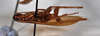 CollectionObject 1553107; NTUC 753, c117b5aa-fc72-4a7a-ac4d-d9a40c84dff5: copyright NTUC. female, ventral view of synonym Phyllodromia niitakana (syntype). (CollectionObject).