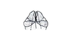 Agenacris debilis Amédégnato & Descamps, 1979: Fig. 245. aedeagus, dorsal view. (Otu).