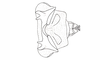 Dichroplus exilis Giglio-Tos, 1894: Fig. 43. epiphallus, ectophallus and aedeagus apex, dorsal view. (Otu).