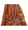 Subgenital plate, ventral view on Allophleps eques (Jacobi, 1910): pregenital sternite. (Observation).