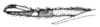 Pictonemobius ambitiosus (Scudder, 1878): Fig. 1. tarsus (probably hindleg). (Otu).