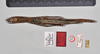 CollectionObject 1557831; 340a164c-1069-4dc7-beff-4f98a72401ef: copyright QM. male, dorsal view (holotype). (CollectionObject).