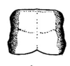 Santanderia lita Hebard, 1923: Pl. 11, Fig. 12 (after allotype). female, pronotum, dorsal view. (Otu).