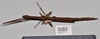 CollectionObject 1558581; 5094e634-967d-4141-83cf-733a7e174ce9: copyright NTUC. female, dorsal view (syntype). (CollectionObject).;CollectionObject 1558582; 20db8149-d18d-4462-8167-11f604b61075: copyright NTUC. female, dorsal view (syntype). (CollectionObject).