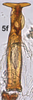 Aedeagus, ventral view on Bretega declispiverpa Stiller, 2017: Aedeagus, ventral view. (Observation).