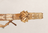CollectionObject 1560444; NHMUK(SF IMPORT DUPLICATE) 844577, ad9baf68-982f-41ee-9e1a-5bb1f7de0cc5: copyright Natural History Museum, London. Ocnophila ornatissima female nymph: end of abdomen, dorsal view (paralectotype). (CollectionObject).