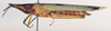 CollectionObject 1506168; a4acfcb6-0bd0-4c38-ad2b-edfe9f5fa7c3: female, lateral view (neotype). (CollectionObject).