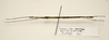 CollectionObject 1591074; 3f08a0ef-71f1-4518-a1c5-70dfa24afd6d: copyright ZRC Singapore. male, lateral view (paratype). (CollectionObject).