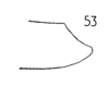 Forewing on Cyarda difformis Walker, 1858: (Observation).